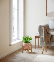Load image into Gallery viewer, Calm Rose stand:bamboo