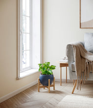 Load image into Gallery viewer, Deep Navy stand:bamboo