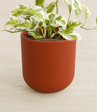 Load image into Gallery viewer, Earth Red stand:all