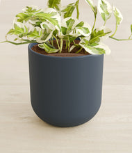 Load image into Gallery viewer, Iron Gray stand:all