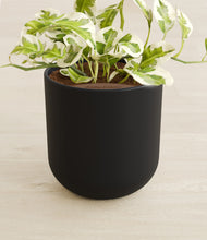 Load image into Gallery viewer, Stone Black stand:all