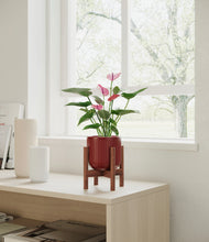 Load image into Gallery viewer, Striped Cherry Red stand:walnut