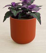 Load image into Gallery viewer, Earth Red stand:all