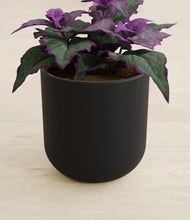 Load image into Gallery viewer, Stone Black stand:all