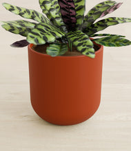 Load image into Gallery viewer, Earth Red stand:all