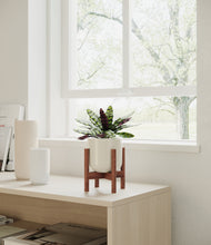 Load image into Gallery viewer, Cotton White stand:walnut
