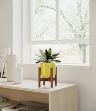 Load image into Gallery viewer, Key Lime Yellow stand:walnut