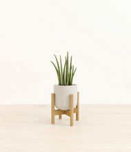 Load image into Gallery viewer, Natural Bamboo stand:bamboo