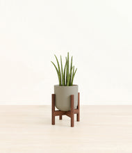 Load image into Gallery viewer, Sage Green stand:walnut