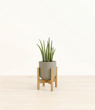 Load image into Gallery viewer, Sage Green stand:bamboo