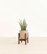 Load image into Gallery viewer, Sandy Pink stand:walnut