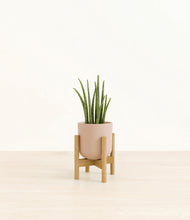 Load image into Gallery viewer, Sandy Pink stand:bamboo