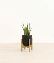 Load image into Gallery viewer, Stone Black stand:bamboo