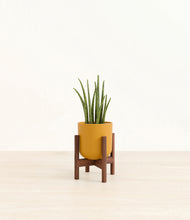 Load image into Gallery viewer, Sunset Orange stand:walnut