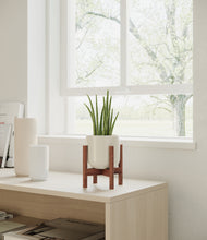 Load image into Gallery viewer, Cotton White stand:walnut