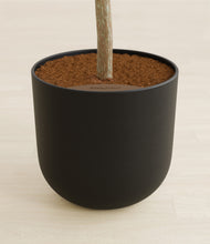 Load image into Gallery viewer, Stone Black