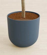 Load image into Gallery viewer, Iron Gray