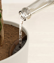 Load image into Gallery viewer, Natural Bamboo stand:all