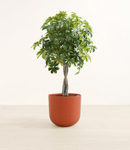 Load image into Gallery viewer, Earth Red