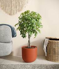 Load image into Gallery viewer, Earth Red