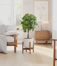 Load image into Gallery viewer, Natural Bamboo stand:walnut