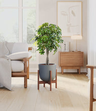 Load image into Gallery viewer, Iron Gray stand:walnut