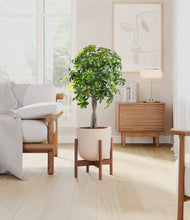 Load image into Gallery viewer, Sandy Pink stand:walnut