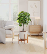 Load image into Gallery viewer, Natural Bamboo stand:bamboo