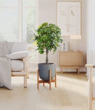 Load image into Gallery viewer, Iron Gray stand:bamboo