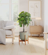 Load image into Gallery viewer, Sage Green stand:bamboo