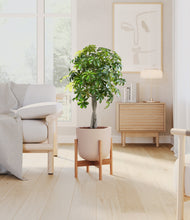 Load image into Gallery viewer, Sandy Pink stand:bamboo