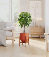 Load image into Gallery viewer, Earth Red stand:bamboo