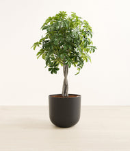 Load image into Gallery viewer, Stone Black