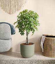 Load image into Gallery viewer, Sage Green