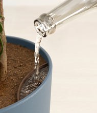 Load image into Gallery viewer, Summer Mist stand:all