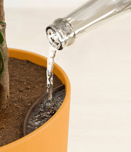 Load image into Gallery viewer, Evening Sky stand:all