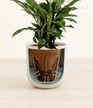 Load image into Gallery viewer, Natural Bamboo stand:all