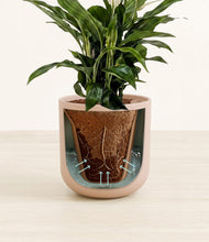 Load image into Gallery viewer, Sandy Pink stand:all