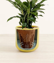 Load image into Gallery viewer, Key Lime Yellow stand:all