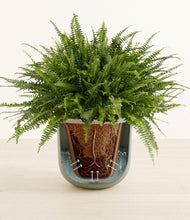 Load image into Gallery viewer, Sage Green stand:all