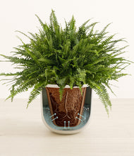 Load image into Gallery viewer, Natural Bamboo stand:all