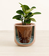 Load image into Gallery viewer, Hammered Peach Pink stand:all