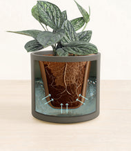 Load image into Gallery viewer, Dark Olive stand:all