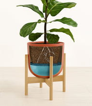 Load image into Gallery viewer, Earth Red stand:bamboo