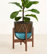 Load image into Gallery viewer, Stone Black stand:walnut