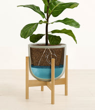 Load image into Gallery viewer, Sage Green stand:bamboo