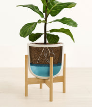 Load image into Gallery viewer, Natural Bamboo stand:bamboo