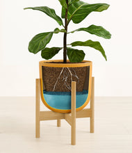 Load image into Gallery viewer, Sunset Orange stand:bamboo