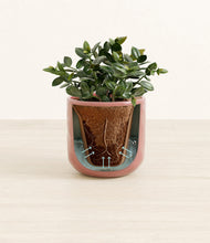 Load image into Gallery viewer, Hammered Rose Pink stand:all