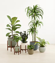 Load image into Gallery viewer, Earthy stand:three_stands